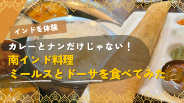 カレーとナンだけじゃない！定番南インド料理を紹介